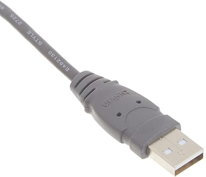 Belkin F3U133-06INCH Components USB A/B Device Daisy Chain for USB Hub (6 Inches)