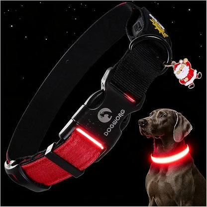 DOGWONG LED Dog Collar - Heavy Duty Light up Collars - Rechargeable Waterproof - Lighted Dog Collar for Night Walking, Hiking, Camping(Red,S)