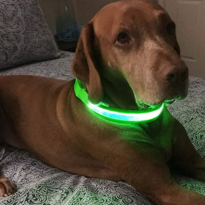 MASBRILL LED Dog Collar,Night Light Up Dog Collars Rechargeable Waterproof Glowing Dog Collar for Small Medium Large Dogs