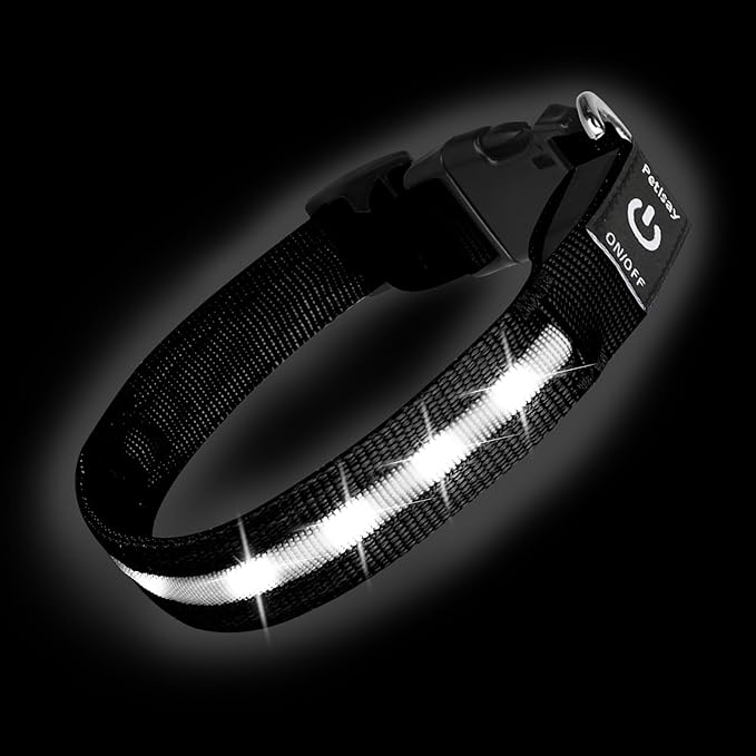 Super Bright LED Dog Collar - Fully Waterproof & Adjustable Glow Collar - USB-C Rechargeable for Night Walking, Safety - Flashing Lighted Collar for Dogs(White,L)