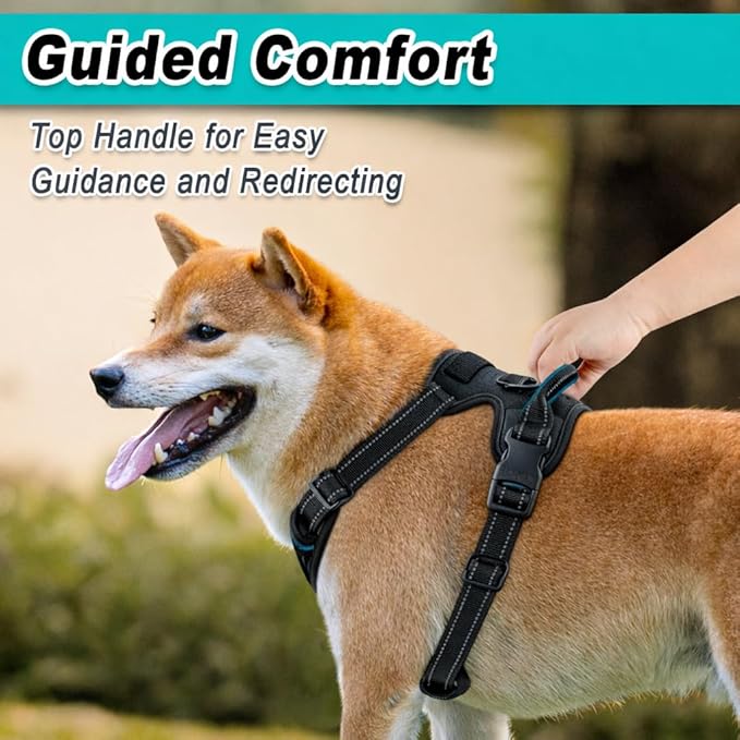 BARKBAY Dog Harness No Pull Mesh for Large Dogs - Adjustable, Reflective, Comfortable, No Choke, Heavy-Duty - Perfect for Outdoor Training, Walking, and Hiking - Strong & Durable - L & Black Mesh