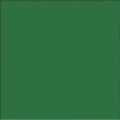 Beistle Green Tissue Paper Sheets – 96 Pack, Bulk Square Craft Tissue, Gift Wrapping for Bags, Boxes, DIY Crafts, Packaging Filler for Retail Displays, Shipping, Parties & Decorative Use, 20” x 20”