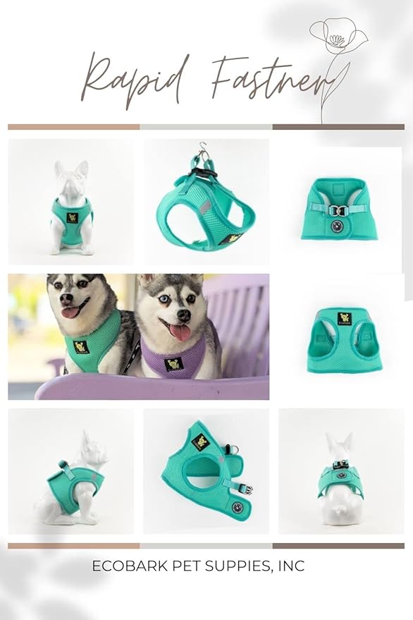 EcoBark Step in Dog Harness - Eco-Friendly Teacup Dog Harnesses for XXS, XS, and Small Dogs - Reflective and Adjustable Mini Body Halter Vest -Tiny Soft Mesh Toy Breed Harness Under 5 lbs (XXXS, Mint)