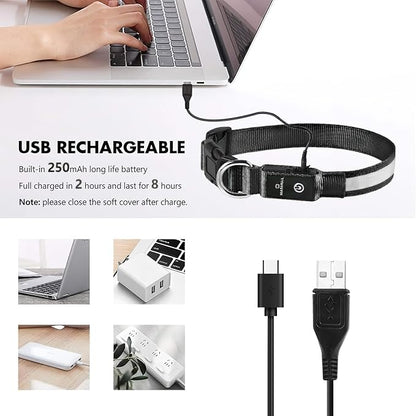 MASBRILL Light Up Dog Collars - LED Dog Collar Rechargeable Lighted Dog Collar Resistant-Water Night Walking Glow Dog Collars