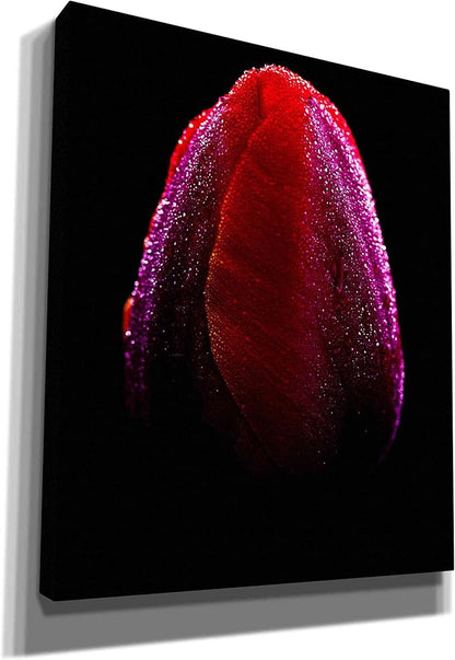 Epic Graffiti 'Wet' by Darren White, Canvas Wall Art, 30" x 40"