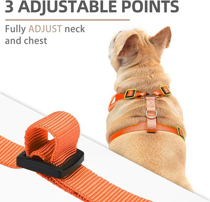 PUPTECK Halloween Small Dog Harness and Leash Set, No Pull Adjustable Puppy Cat Harness, Reflective Soft Mesh Pet Vest Small Sized, Pumpkin, S