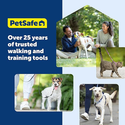 PetSafe Deluxe Easy Walk Harness - Trainer-Trusted Dog Chest Harness with Breathable Martingale Loop Design - Helps Stop Pulling with No Choking & Gagging - Medium/Large - Rose