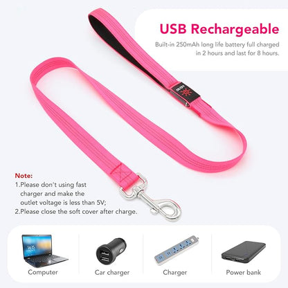 Colaseeme Light Up Dog Leash, LED Pet Leashes USB Rechargeable, Glow Safety Dogs Lights at Night (4FT,Pink)