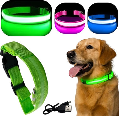 Light Up Dog Collar ??Reflective, Adjustable, Rechargeable Electronic Glow Pet Collars ??Bright, Comfortable, High Visibility LED Dog Collar for Night Safety, Outdoor Walk, Flashing Fun, Green, Small