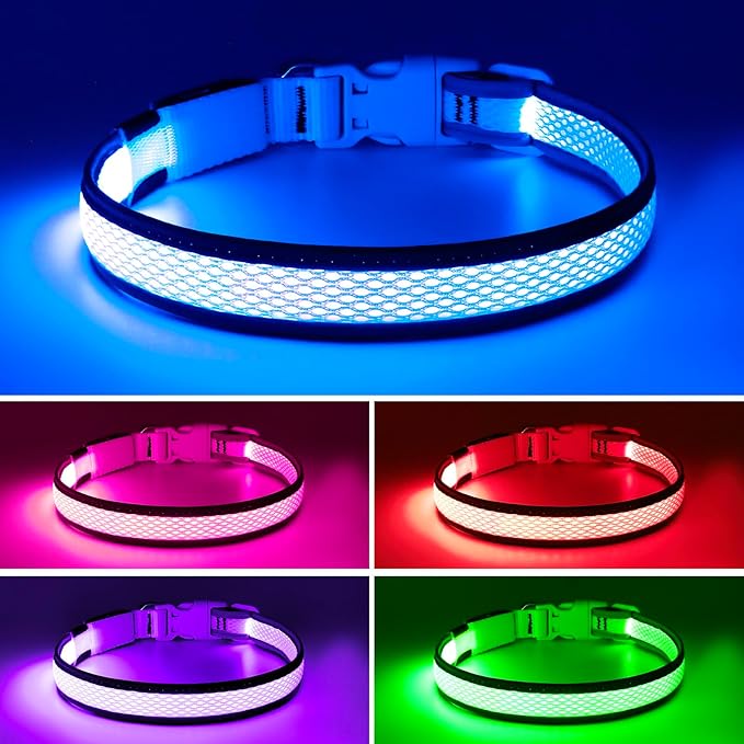 Flashseen LED Dog Collar, Light Up Dog Collar USB Rechargeable, Brightest Dog Lights for Night Walking, Adjustable Dog Collar Light for Dog Safety (Large, Royal Blue)