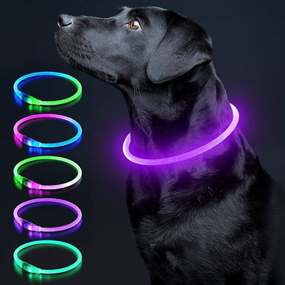 Colaseeme LED Dog Collar Light Up Dog Collars 1 Count USB Rechargeable TPU Glow Safety Basic Dog Collars for Large Medium Small Dogs (Purple)