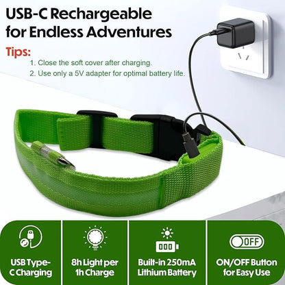 Light Up Dog Collar ??Reflective, Adjustable, Rechargeable Electronic Glow Pet Collars ??Bright, Comfortable, High Visibility LED Dog Collar for Night Safety, Outdoor Walk, Flashing Fun, Green, Small
