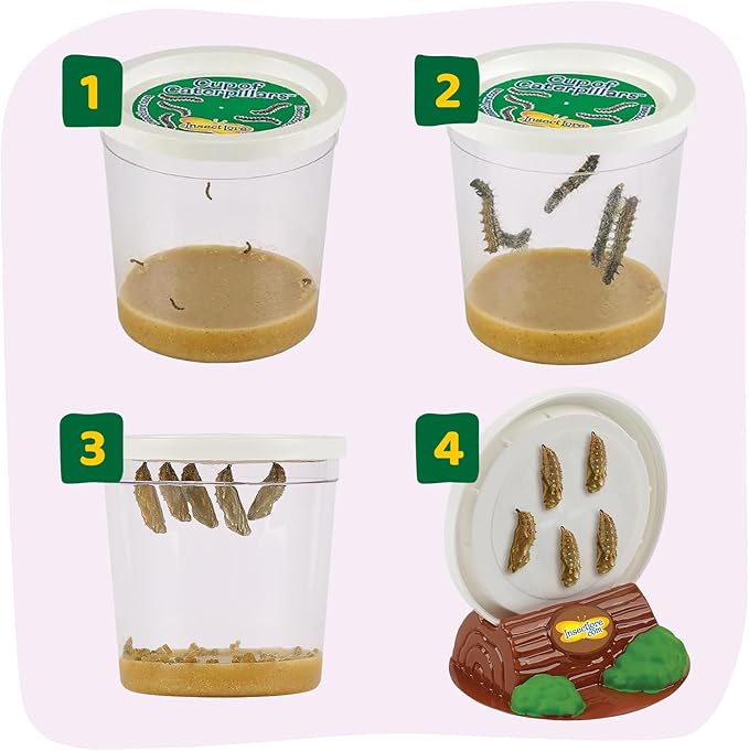Insect Lore Raise and Release Butterfly Garden Kit – Caterpillar Habitat with redeemable Voucher – STEM-accredited Butterfly Growing Kit for Kids, Classrooms, and Homeschool Learning