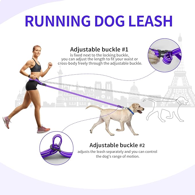 Kazazoo Hands-Free Dog Leash Adjustable Length 5-8 Ft, Waist for Dog Walking, Running for Small &Medium Dogs with Reflective Strips, Ballistic Nylon, Waist Belt, Lightweight Purple
