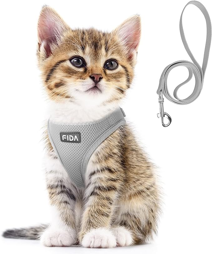 Fida Comfy Dog Harness with Leash, Cat Vest Harness Escape Proof, Breathable Lightweight Soft Mesh, Adjustable Reflective Step-in Harness for Puppy Toy Breeds & Extra-Small Pet (XXS, Grey)