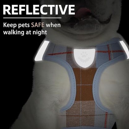 PUPTECK Adjustable Dog Harness Collar and Leash Set Step in No Pull Pet Harness for Small Medium Dogs Puppy and Cats Outdoor Walking Running, Soft Mesh Padded Reflective Vest Harnesses, BlueBrown L