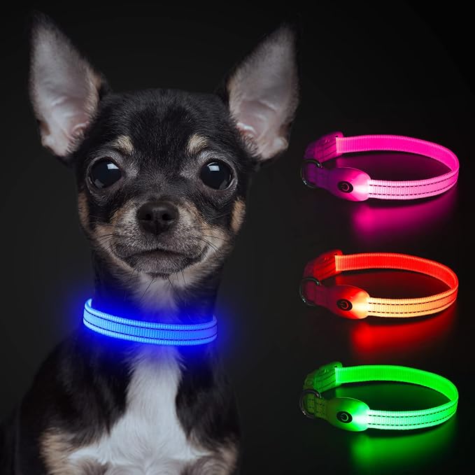 YFbrite LED Dog Collar XS, Lightweight Cat Collar Light, Comfortable Light Up Puppy Collars, USB Rechargeable Adjustable Puppy Walking Safety Light (Blue, XS)
