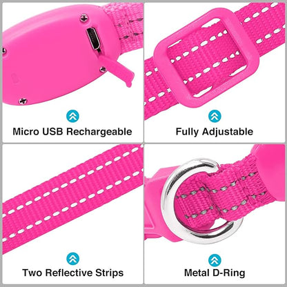 LED Dog Collar - Light Up, Adjustable, Rechargeable, Waterproof - Night Walking, Glow in Dark - Small, Pink