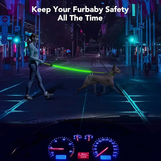 Colaseeme Light Up Dog Leash, LED Pet Leashes USB Rechargeable, Glow Safety Dogs Lights at Night (4FT,Green)