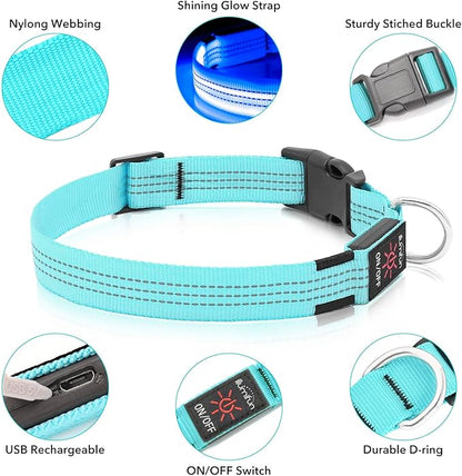 Illumifun Light Up Dog Collar, USB Rechargeable LED Dog Collar, Adjustable Reflective Lighted Pet Collar for Night Walking Camping (Blue?? Large)