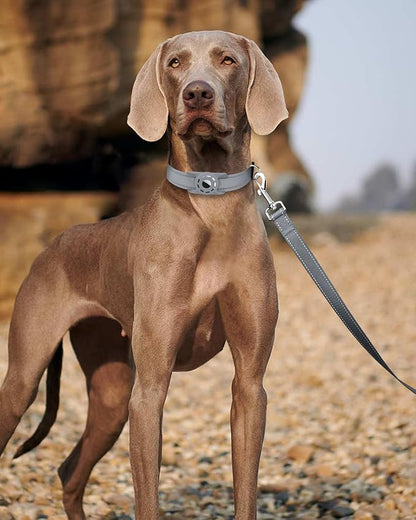 Reflective Dog Leash 4ft Soft Padded Handle Nylon Lead for Small & Medium Dogs, Durable Walking Training Leash for Night Safety (Gray,3/4Inch Wide)