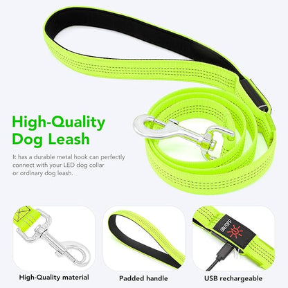 Colaseeme Light Up Dog Leash, LED Pet Leashes USB Rechargeable, Glow Safety Dogs Lights at Night (4FT,Green-New)