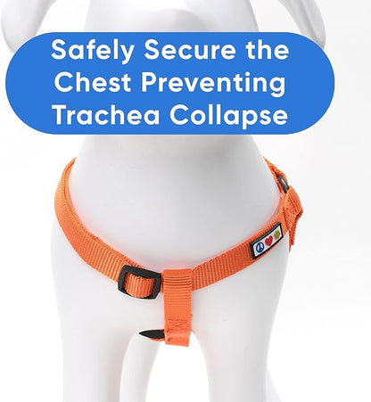 Pawtitas Medium Orange Dog Harness - Adjustable Reflective Harness for Dog Walking, Solid Color, Nylon, Buckle Closure, Machine Wash
