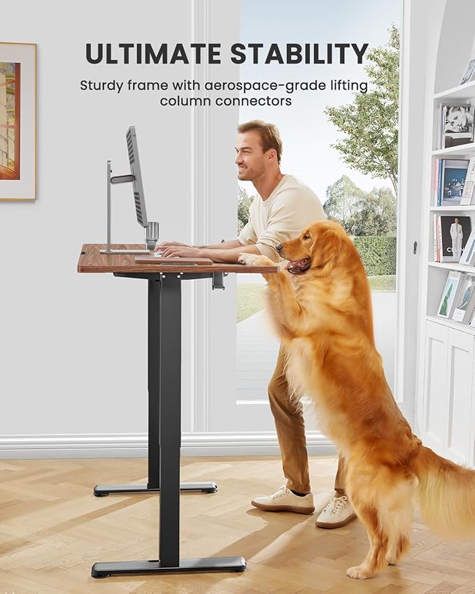 ErGear Height Adjustable Electric Standing Desk, 63 x 28 Inches Sit Stand up Desk, Large Memory Computer Home Office Desk with Two-Piece Desktop (Walnut)