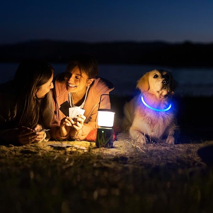 HIGO LED Dog Collar, USB Rechargeable Light Up Dog Collars Glow in The Dark, TPU Cuttable Pet Safety Dog Necklace for Nighttime Dog Walking (Blue)