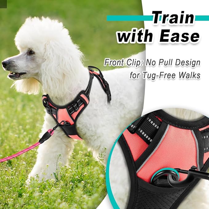 BARKBAY Dog Harness No Pull for Small Dogs - Adjustable, Reflective, Comfortable, No Choke, Heavy-Duty - Perfect for Outdoor Training, Walking, and Hiking - Strong & Durable - XS & Light Pink