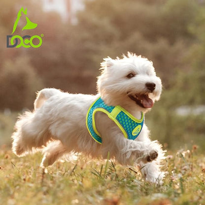 DOCO Dog Harness for Small Sized Dog - Athletica Adjustable, No Pull, No Choke, Puppy Vest Lightweight Air Mesh, Reflective, Puppy Essentials – Turquoise, Small (Chest 14.5"-15.5", Weight 6–10 lbs)