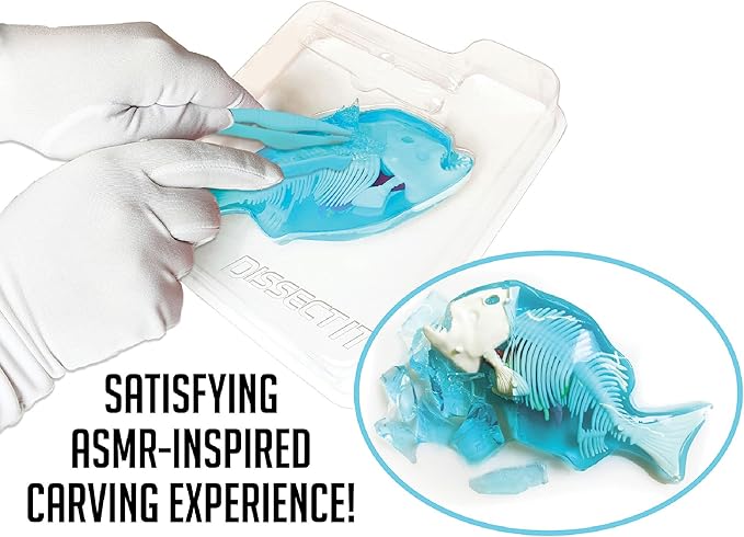 Dissect-It Simulated Synthetic Lab Dissection Toy, STEM Projects for Kids, Animal Science, Biology, Anatomy Home Learning Kit, Piranha