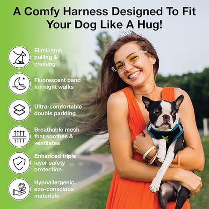 EcoBark Step in Dog Harness - Teacup Dog Harnesses for XXXS, XXS, XS and Small Dog Breeds - Reflective - Adjustable Mini Body Halter Vest - Tiny Soft Mesh Toy Breed (Black and Teal, XXXS)