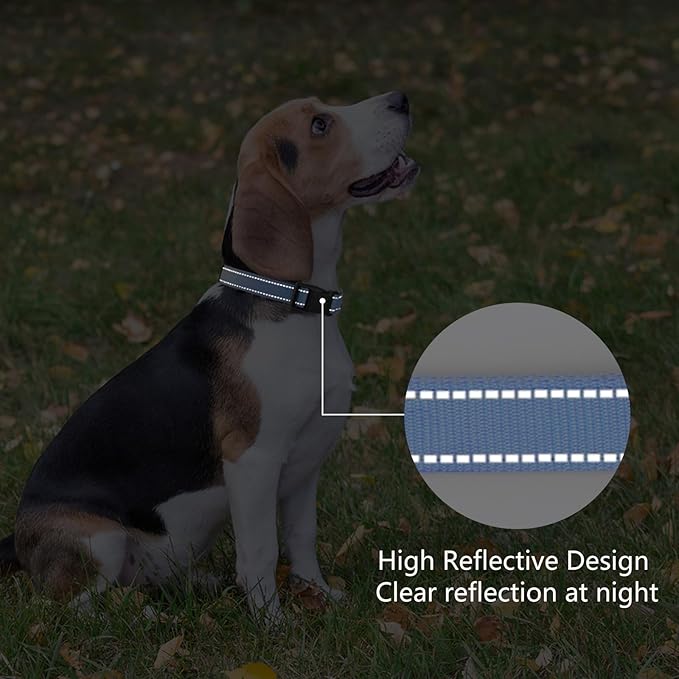 Reflective Dog Collar Padded with Soft Neoprene Breathable Quick Release Basic Dog Collars for Puppy Small Dogs Boy Girl Blue