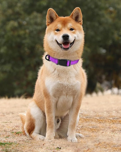 TagME Reflective Nylon Dog Collars, Adjustable Classic Pet Collar with Quick Release Buckle for Medium Dogs, Purple, 1.0" Width