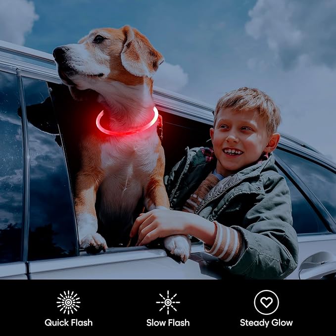 Flashseen LED Dog Collar, USB Rechargeable Glowing Lighted Up Collar, Cuttable Water-Resistant TPU Safety Collar Lights for Small Medium Large Dogs
