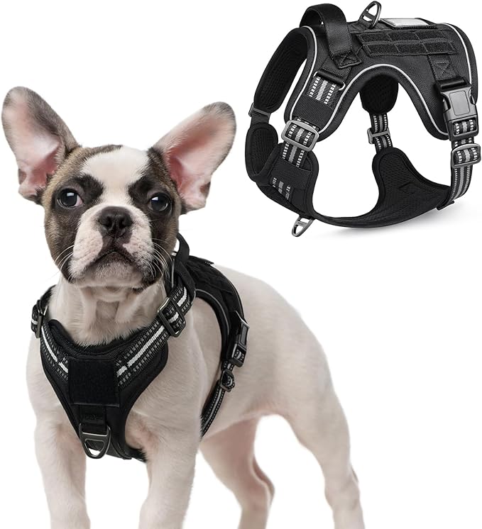 rabbitgoo Tactical Dog Harness for Small Dogs, No Pull Military Service Vest with Handle & Molle, Easy Control for Training Walking, Adjustable Reflective Straps, Black, S