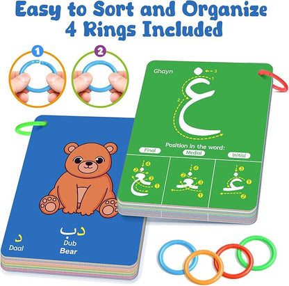 Arabic Alphabet Flash Cards, Learn Arabic Letters for Beginners Adult, Kids, Toddlers, Set of Letter, Sight Word, Color, Shape and Number Flashcard, Preschool Educational Learning Activities