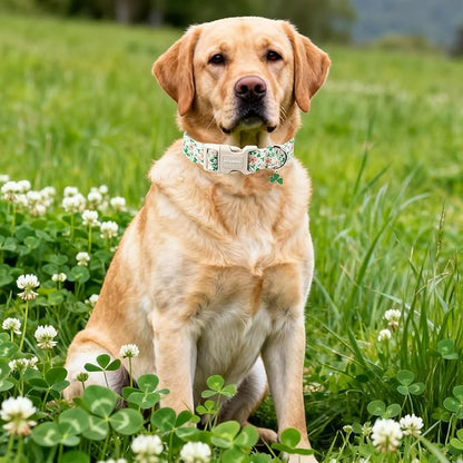 DOGWONG St Patrick's Dog Collar, Green Clover Pet Collar Cotton Flower Shamrock Pet Collar Cute Puppy Collar Adjustable Pet Dog Collars for Medium Dogs,M