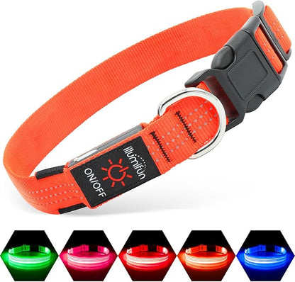 Illumifun Light Up Dog Collar USB Rechargeable LED Dog Collar, Adjustable Blinking Dog Light for Large Dogs (Orange?? Large)