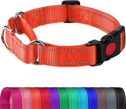 Joytale Martingale Collar for Dogs, Reflective Heavy Duty for Safety, Quick Release Buckle, Adjustable Nylon Collars for Small Dogs Walking Training, Orange,S