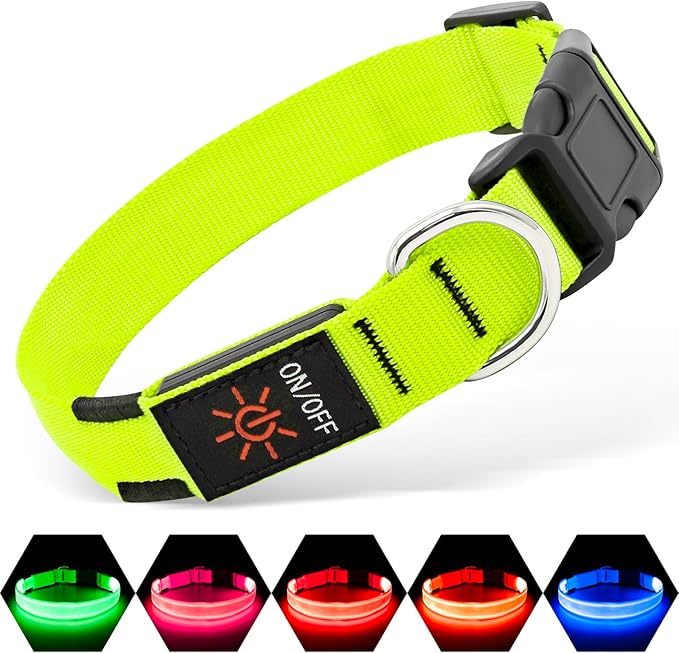 Illumifun LED Collar for Small Dogs, USB Rechargeable Light Up Dog Collar, Flashing Pet Safety Light Glow in The Dark (Green, Small)