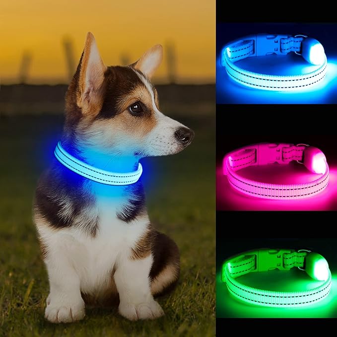 Light Up Dog Collar at Night, Led Dog Collar Adjustable, Rechargeable Waterproof, Dog Lights for Night Walking, Glow in The Dark (S, Blue)