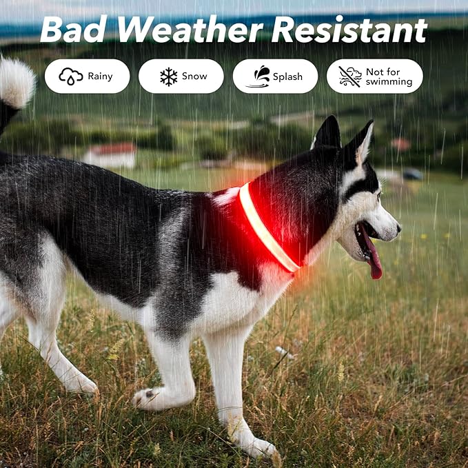 Visinite LED Dog Collar USB Rechargeable, Reflective Light Up Pet Collar for Night Walking, Adjustable Glow Collar for Small Medium Large Dogs(Red, M)