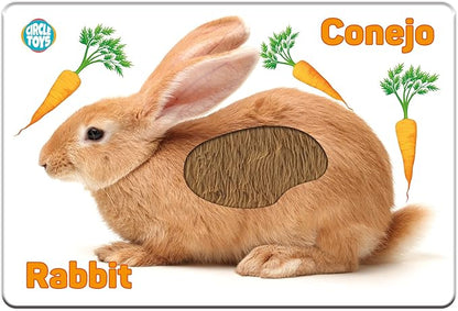 My Touch and Feel English Spanish Bilingual Picture Double Sided Sensory Flash Cards for Infant, Toddlers, Kids, Learn Animals, Fruits, Objects and Vehicles, Fun Learning and Educational Flashcards