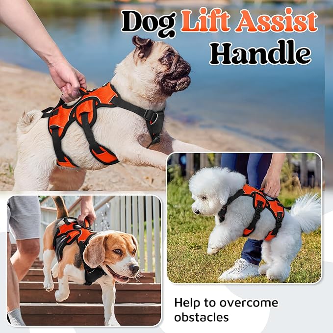 rabbitgoo Escape Proof Dog Harness, Soft Padded Full Body Pet Harness, Reflective Adjustable No Pull Vest with Lift Handle and Lesh Clip for Large Dogs Walking Hiking Training, S, Orange