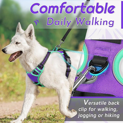 Eagloo Dog Harness Small Sized Dog, No Pull Service Vest with Reflective Strips and Control Handle, Adjustable and Comfortable for Walking, No Choke Pet Harness with 2 Metal Rings, Purple & Green, S