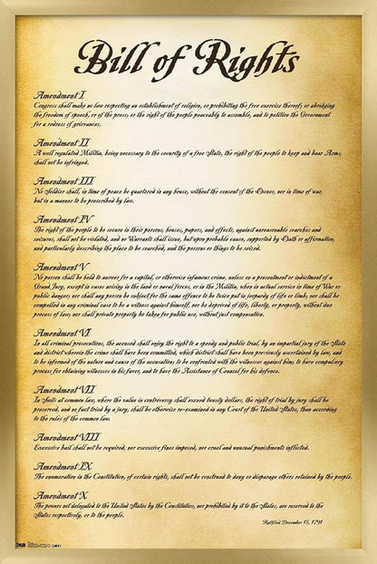 Trends International The United States of America - Bill of Rights Wall Poster, 22.375" x 34", Gold Framed Version