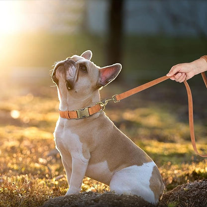 Didog Soft PU Leather Dog Collar, Stylish Quick Released Dog Collars for Medium Dogs, Easy Clean Adjustable Pet Collar for Daily Walking, Light Brown, M Fit 13-21" Neck