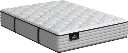 Kingsdown Passions Imagination Plush Mattress, Queen